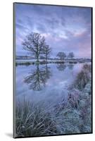 Frosty Winter Morning Beside a Rural Pond, Morchard Road, Devon, England. Winter (January)-Adam Burton-Mounted Photographic Print