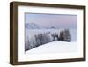 Frosty Winter Morning with a Pastel Sunrise, Switzerland, Appenzell-Marco Isler-Framed Photographic Print