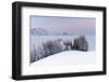 Frosty Winter Morning with a Pastel Sunrise, Switzerland, Appenzell-Marco Isler-Framed Photographic Print