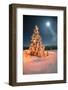 Frosty Winter Night of Christening - Magic Light Fairy Lights on a Snowy Background in Alpine Spruc-Roman Mikhailiuk-Framed Photographic Print