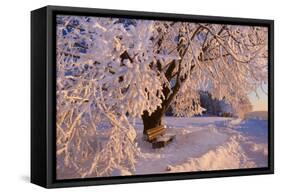 Frosty Winter Scene, Snow-Covered Landscape-null-Framed Stretched Canvas