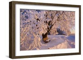 Frosty Winter Scene, Snow-Covered Landscape-null-Framed Photographic Print