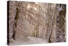 Stretched Canvas