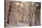 Stretched Canvas