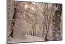 Wood Mount
