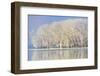 Frosty Winter Trees-mady70-Framed Photographic Print