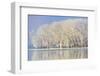 Frosty Winter Trees-mady70-Framed Photographic Print