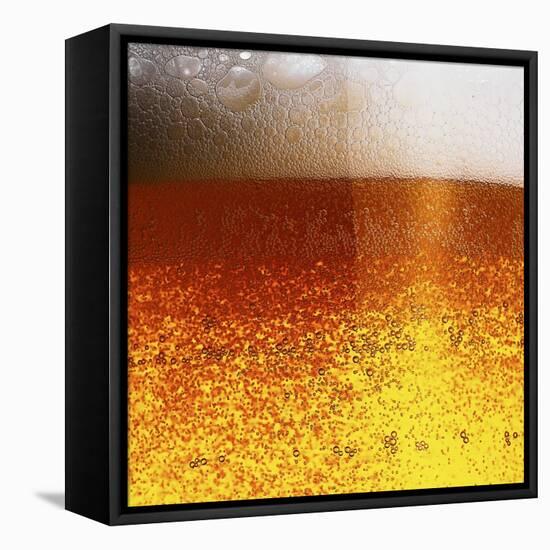 Frothy Beer-Hermann Mock-Framed Stretched Canvas
