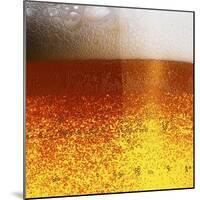 Frothy Beer-Hermann Mock-Mounted Photographic Print