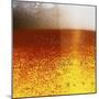 Frothy Beer-Hermann Mock-Mounted Photographic Print