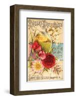 Frotscher Manual New Orleans-null-Framed Art Print