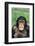 Frowning Chimpanzee-DLILLC-Framed Photographic Print