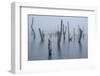 Frozen and foggy world ........-Piet Haaksma-Framed Photographic Print