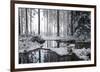 Frozen Calm-Andreas Stridsberg-Framed Giclee Print