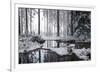 Frozen Calm-Andreas Stridsberg-Framed Giclee Print