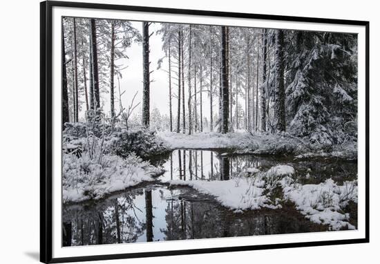 Frozen Calm-Andreas Stridsberg-Framed Giclee Print