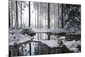 Frozen Calm-Andreas Stridsberg-Mounted Giclee Print