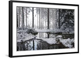 Frozen Calm-Andreas Stridsberg-Framed Giclee Print