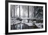 Frozen Calm-Andreas Stridsberg-Framed Giclee Print