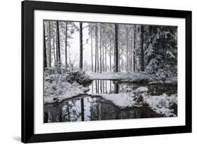 Frozen Calm-Andreas Stridsberg-Framed Giclee Print