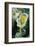 Frozen Dandelion-Darrell Gulin-Framed Photographic Print