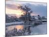 Frozen Dawn-Doug Chinnery-Mounted Photographic Print