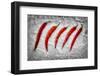 Frozen Fire-Secundino Losada-Framed Photographic Print