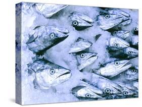 Frozen Fish at the Market in Malpe, Near Udupi, State of Karnataka, South India-Paul Harris-Stretched Canvas