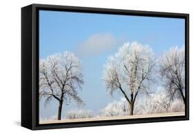 Frozen Fog I-Tammy Putman-Framed Stretched Canvas