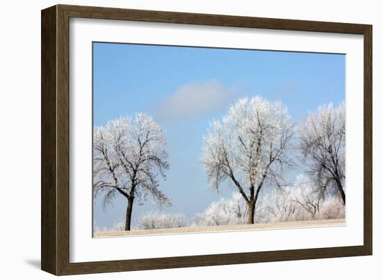 Frozen Fog I-Tammy Putman-Framed Photographic Print