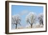Frozen Fog I-Tammy Putman-Framed Photographic Print