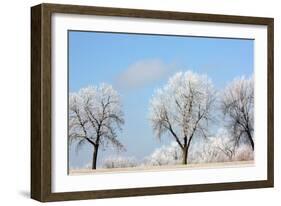 Frozen Fog I-Tammy Putman-Framed Photographic Print