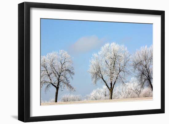 Frozen Fog I-Tammy Putman-Framed Photographic Print