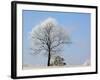 Frozen Fog II-Tammy Putman-Framed Photographic Print