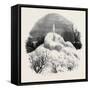 Frozen Fountain at Bamford Near Rochdale-null-Framed Stretched Canvas