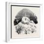 Frozen Fountain at Bamford Near Rochdale-null-Framed Giclee Print