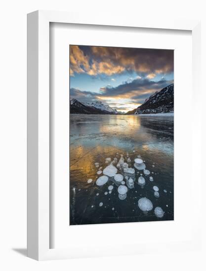 Frozen gas bubbles trapped in the ice at sunset. Silvaplana Lake, Silvaplana, Engadin, Graubunden,-ClickAlps-Framed Photographic Print