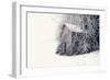 Frozen Hideaway-Andreas Stridsberg-Framed Giclee Print