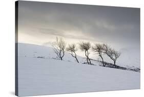 Frozen Hills-Andreas Stridsberg-Stretched Canvas