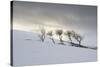 Frozen Hills-Andreas Stridsberg-Stretched Canvas