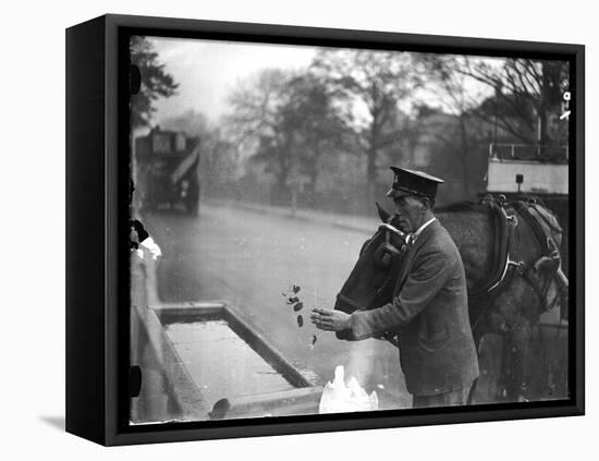 Frozen Horse Trough-null-Framed Stretched Canvas