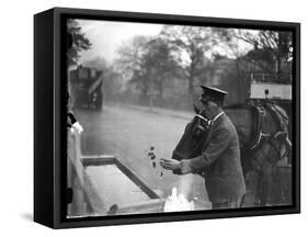 Frozen Horse Trough-null-Framed Stretched Canvas