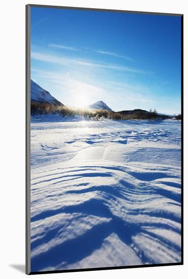 Frozen lake, Abisko National Park, Sweden, Scandinavia, Europe-Christian Kober-Mounted Photographic Print