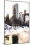 Frozen Lake in Central Park-Philippe Hugonnard-Mounted Giclee Print