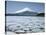 Frozen Lake, Lake Yamanaka, Mount Fuji, Honshu, Japan-null-Stretched Canvas