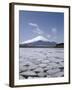 Frozen Lake, Lake Yamanaka, Mount Fuji, Honshu, Japan-null-Framed Photographic Print