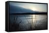 Frozen lake sunset, Eagle Creek Park, Indianapolis, Indiana, USA-Anna Miller-Framed Stretched Canvas