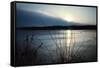 Frozen lake sunset, Eagle Creek Park, Indianapolis, Indiana, USA-Anna Miller-Framed Stretched Canvas