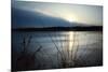 Frozen lake sunset, Eagle Creek Park, Indianapolis, Indiana, USA-Anna Miller-Mounted Photographic Print