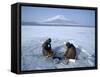 Frozen Lake with Fishermen, Lake Yamanaka, Mount Fuji, Honshu, Japan-null-Framed Stretched Canvas